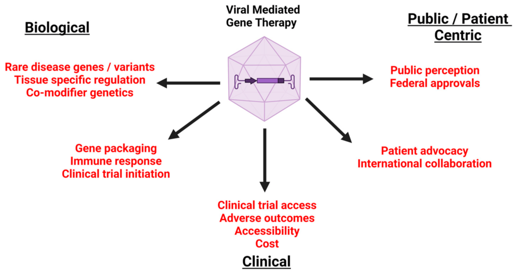 What Makes a Gene Therapy Regulatory Expert Effective in Clinical Trials?