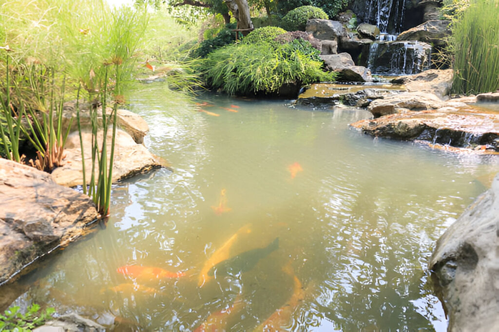 Read This to Solve Your Pond Silt Problems pond hoover