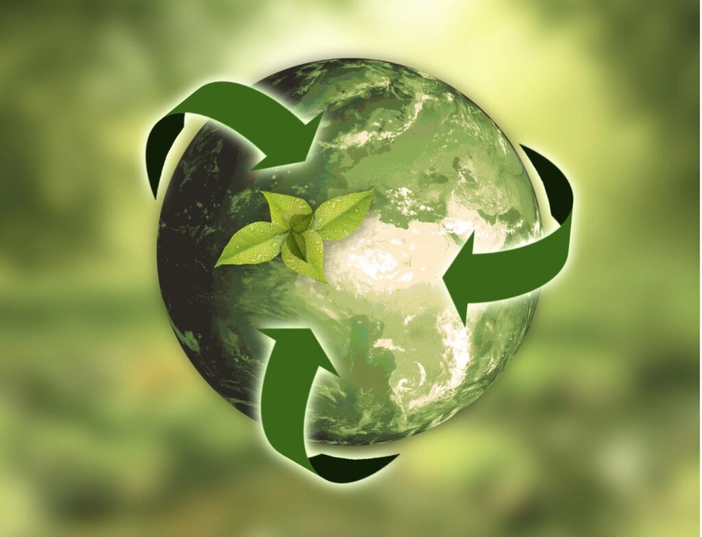 Plastic Recycling: Understanding How It Works and Why It Still Matters
